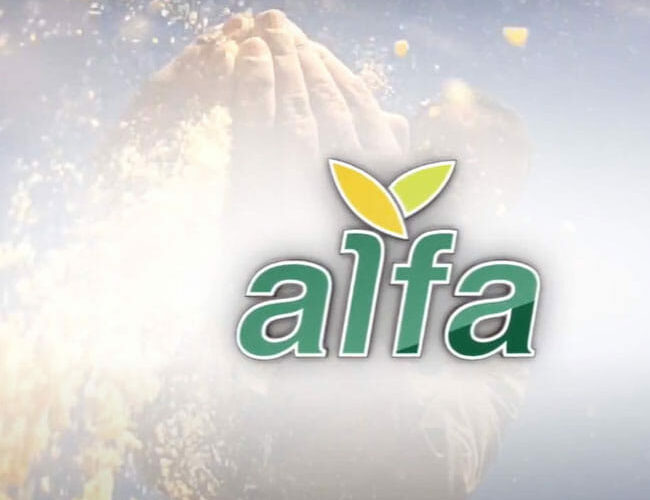 إنتداب بشركة ALFA