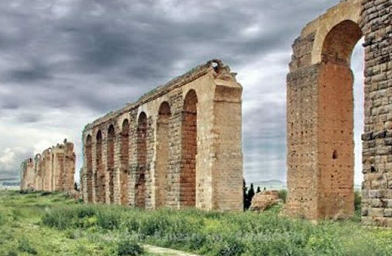 في غضون سنة واحدة، أجر المرأة العاملة بالشركة الأهلية سيرستي يتضاعف 4 مرات